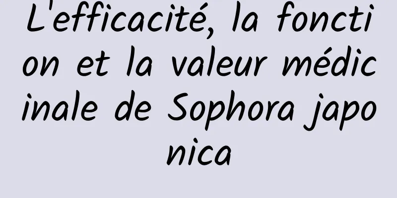 L'efficacité, la fonction et la valeur médicinale de Sophora japonica