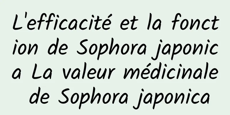 L'efficacité et la fonction de Sophora japonica La valeur médicinale de Sophora japonica