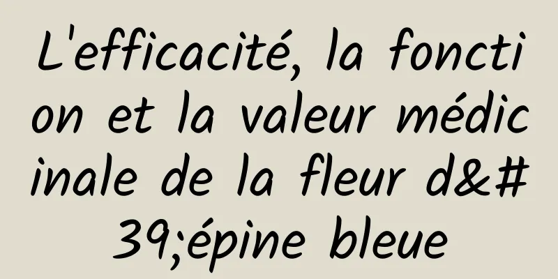 L'efficacité, la fonction et la valeur médicinale de la fleur d'épine bleue