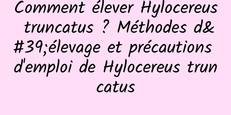 Comment élever Hylocereus truncatus ? Méthodes d'élevage et précautions d'emploi de Hylocereus truncatus