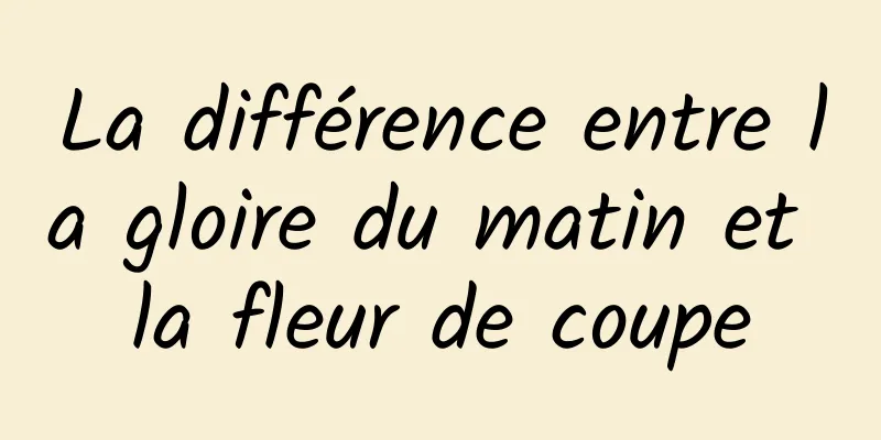 La différence entre la gloire du matin et la fleur de coupe