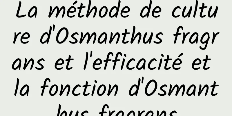 La méthode de culture d'Osmanthus fragrans et l'efficacité et la fonction d'Osmanthus fragrans