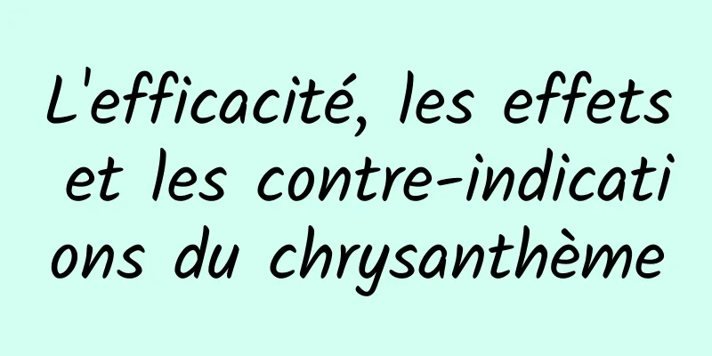 L'efficacité, les effets et les contre-indications du chrysanthème