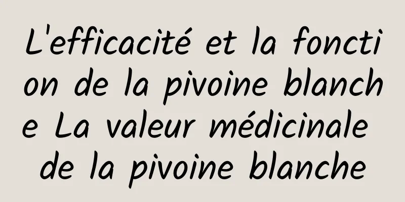 L'efficacité et la fonction de la pivoine blanche La valeur médicinale de la pivoine blanche