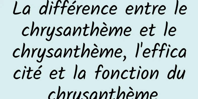 La différence entre le chrysanthème et le chrysanthème, l'efficacité et la fonction du chrysanthème