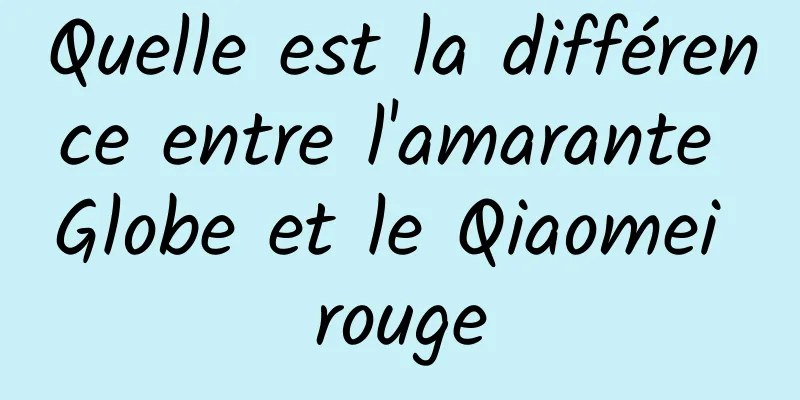 Quelle est la différence entre l'amarante Globe et le Qiaomei rouge