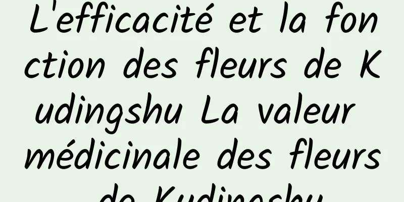 L'efficacité et la fonction des fleurs de Kudingshu La valeur médicinale des fleurs de Kudingshu