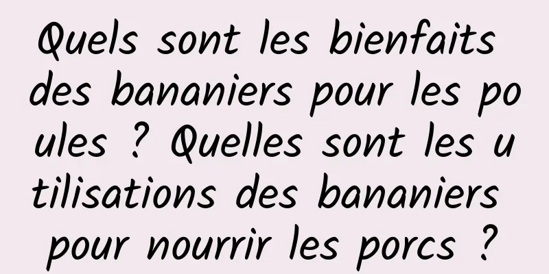 Quels sont les bienfaits des bananiers pour les poules ? Quelles sont les utilisations des bananiers pour nourrir les porcs ?