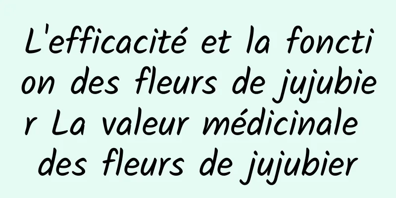 L'efficacité et la fonction des fleurs de jujubier La valeur médicinale des fleurs de jujubier