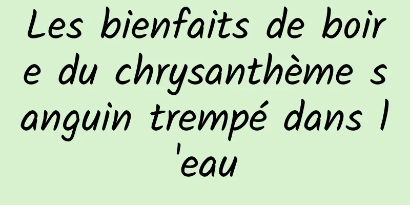 Les bienfaits de boire du chrysanthème sanguin trempé dans l'eau