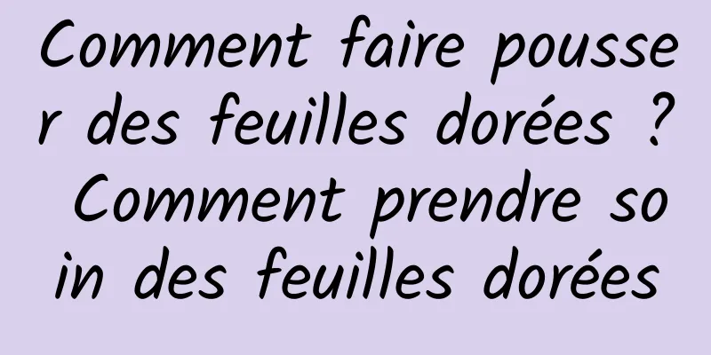 Comment faire pousser des feuilles dorées ? Comment prendre soin des feuilles dorées