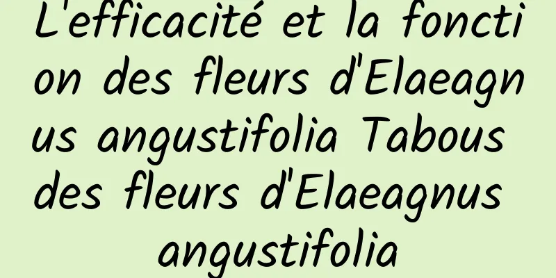 L'efficacité et la fonction des fleurs d'Elaeagnus angustifolia Tabous des fleurs d'Elaeagnus angustifolia