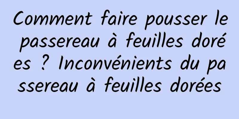 Comment faire pousser le passereau à feuilles dorées ? Inconvénients du passereau à feuilles dorées