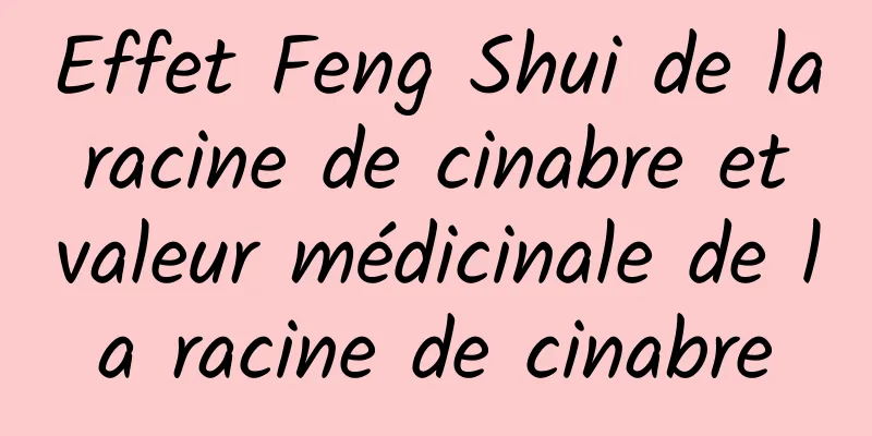 Effet Feng Shui de la racine de cinabre et valeur médicinale de la racine de cinabre