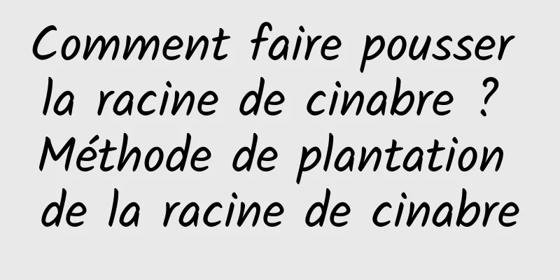 Comment faire pousser la racine de cinabre ? Méthode de plantation de la racine de cinabre