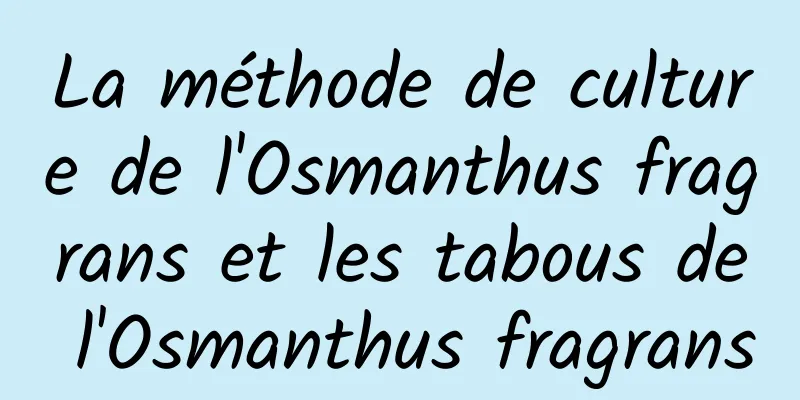 La méthode de culture de l'Osmanthus fragrans et les tabous de l'Osmanthus fragrans