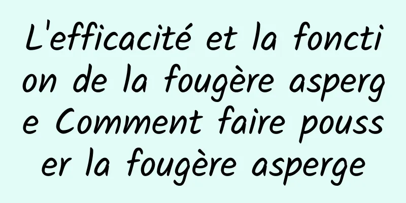 L'efficacité et la fonction de la fougère asperge Comment faire pousser la fougère asperge