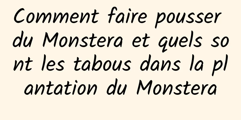 Comment faire pousser du Monstera et quels sont les tabous dans la plantation du Monstera