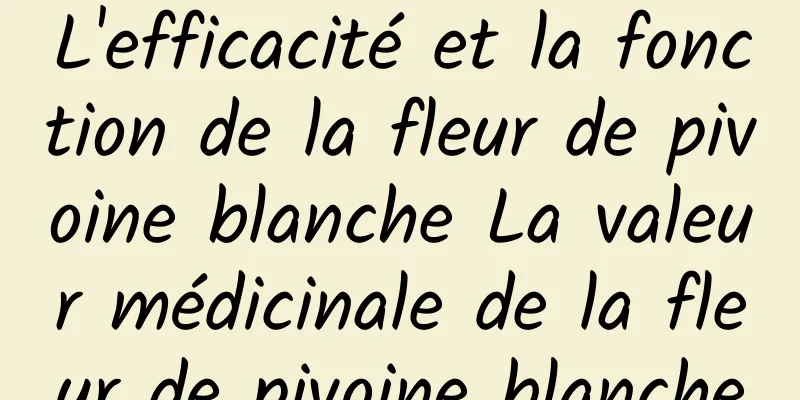 L'efficacité et la fonction de la fleur de pivoine blanche La valeur médicinale de la fleur de pivoine blanche