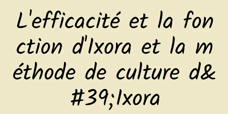 L'efficacité et la fonction d'Ixora et la méthode de culture d'Ixora