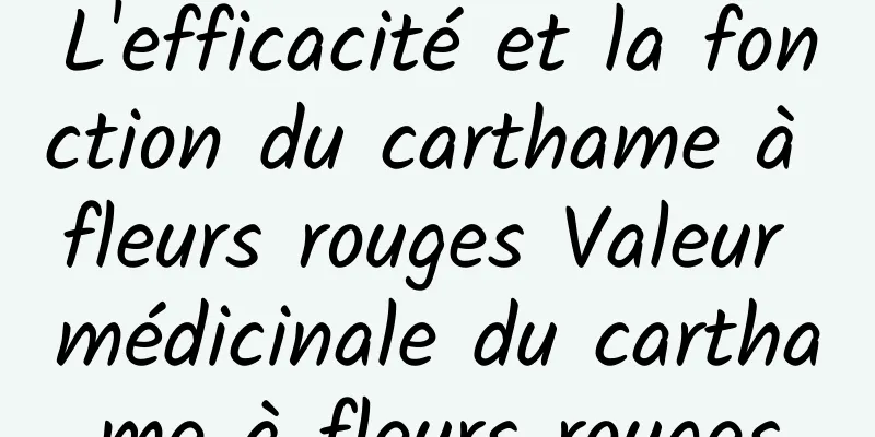 L'efficacité et la fonction du carthame à fleurs rouges Valeur médicinale du carthame à fleurs rouges