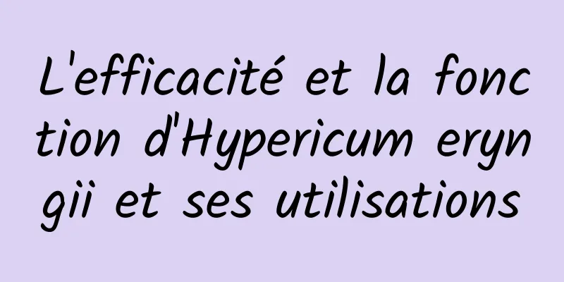 L'efficacité et la fonction d'Hypericum eryngii et ses utilisations