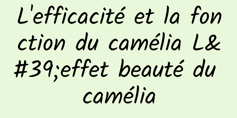 L'efficacité et la fonction du camélia L'effet beauté du camélia