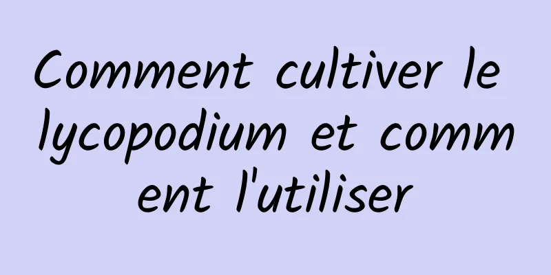 Comment cultiver le lycopodium et comment l'utiliser