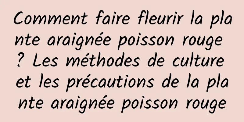 Comment faire fleurir la plante araignée poisson rouge ? Les méthodes de culture et les précautions de la plante araignée poisson rouge