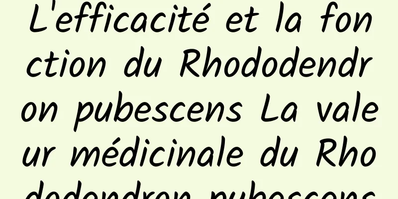 L'efficacité et la fonction du Rhododendron pubescens La valeur médicinale du Rhododendron pubescens