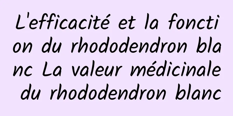 L'efficacité et la fonction du rhododendron blanc La valeur médicinale du rhododendron blanc