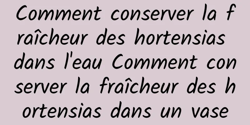 Comment conserver la fraîcheur des hortensias dans l'eau Comment conserver la fraîcheur des hortensias dans un vase