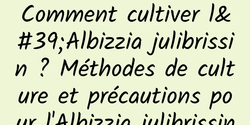 Comment cultiver l'Albizzia julibrissin ? Méthodes de culture et précautions pour l'Albizzia julibrissin