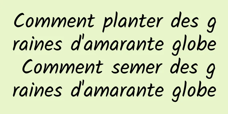 Comment planter des graines d'amarante globe Comment semer des graines d'amarante globe