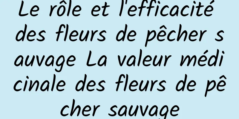 Le rôle et l'efficacité des fleurs de pêcher sauvage La valeur médicinale des fleurs de pêcher sauvage