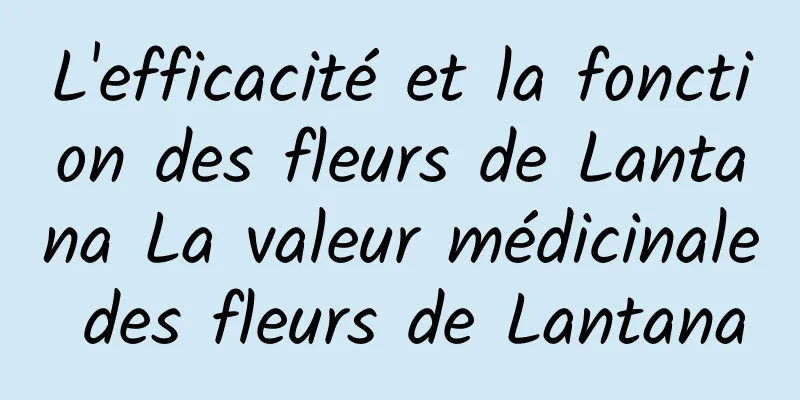 L'efficacité et la fonction des fleurs de Lantana La valeur médicinale des fleurs de Lantana