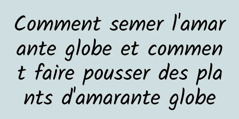 Comment semer l'amarante globe et comment faire pousser des plants d'amarante globe