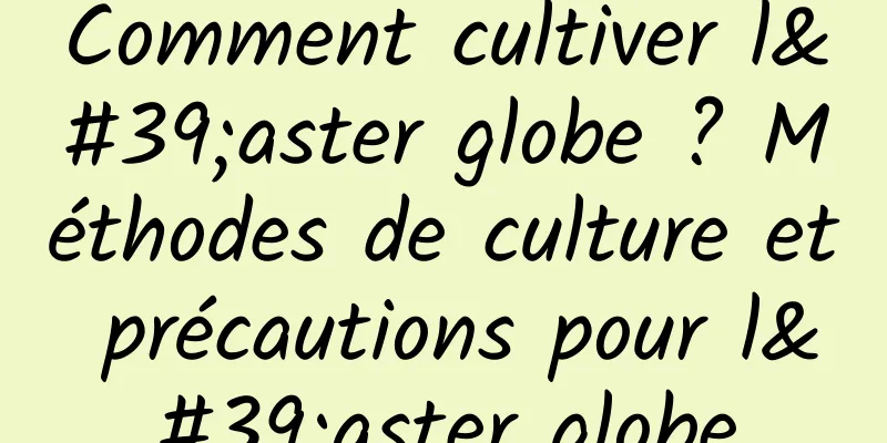 Comment cultiver l'aster globe ? Méthodes de culture et précautions pour l'aster globe