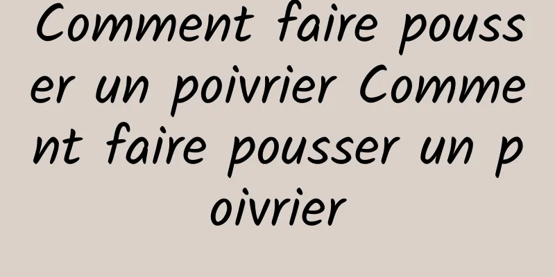 Comment faire pousser un poivrier Comment faire pousser un poivrier