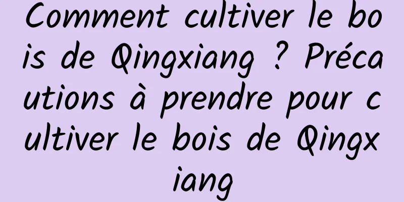 Comment cultiver le bois de Qingxiang ? Précautions à prendre pour cultiver le bois de Qingxiang