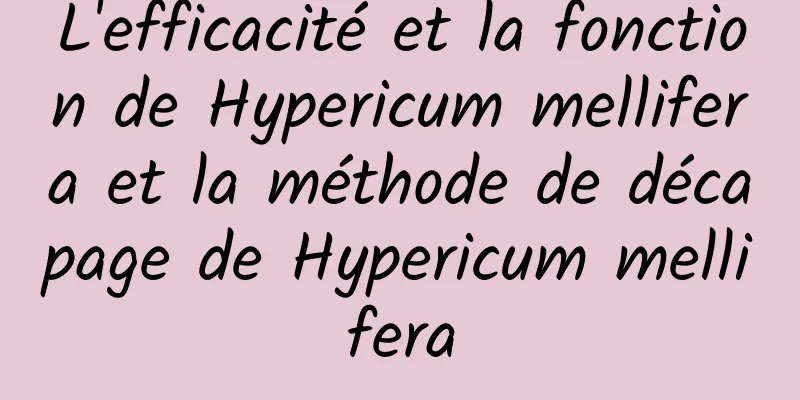 L'efficacité et la fonction de Hypericum mellifera et la méthode de décapage de Hypericum mellifera