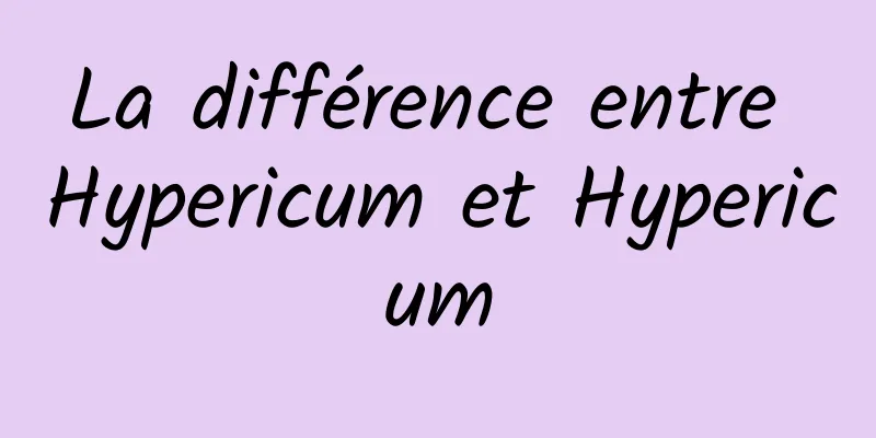 La différence entre Hypericum et Hypericum