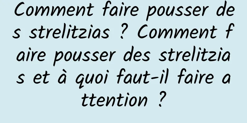 Comment faire pousser des strelitzias ? Comment faire pousser des strelitzias et à quoi faut-il faire attention ?