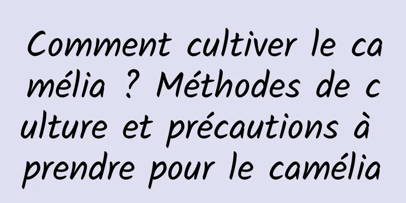 Comment cultiver le camélia ? Méthodes de culture et précautions à prendre pour le camélia