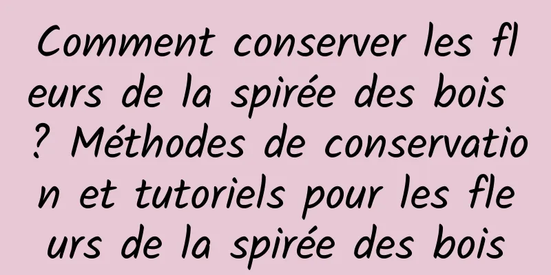 Comment conserver les fleurs de la spirée des bois ? Méthodes de conservation et tutoriels pour les fleurs de la spirée des bois