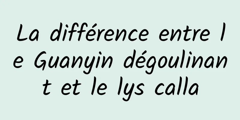 La différence entre le Guanyin dégoulinant et le lys calla