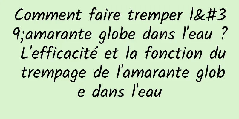 Comment faire tremper l'amarante globe dans l'eau ? L'efficacité et la fonction du trempage de l'amarante globe dans l'eau