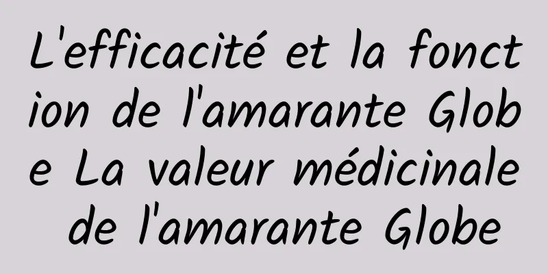 L'efficacité et la fonction de l'amarante Globe La valeur médicinale de l'amarante Globe