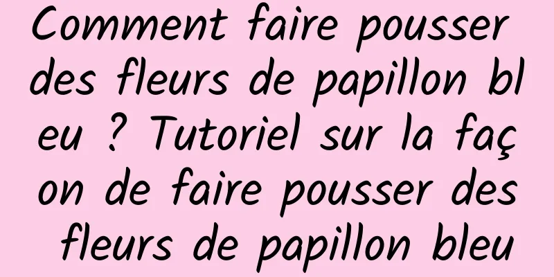 Comment faire pousser des fleurs de papillon bleu ? Tutoriel sur la façon de faire pousser des fleurs de papillon bleu