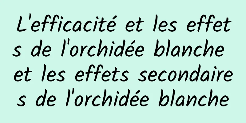 L'efficacité et les effets de l'orchidée blanche et les effets secondaires de l'orchidée blanche